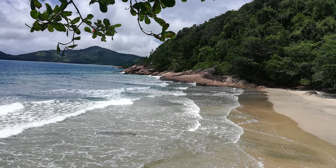 Praia de Fora - acesso terrestre por trilha