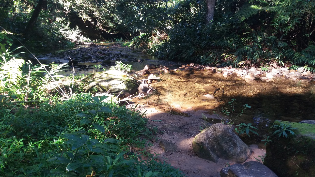 Paisagem preservada no caminho para o Praia do Camburi