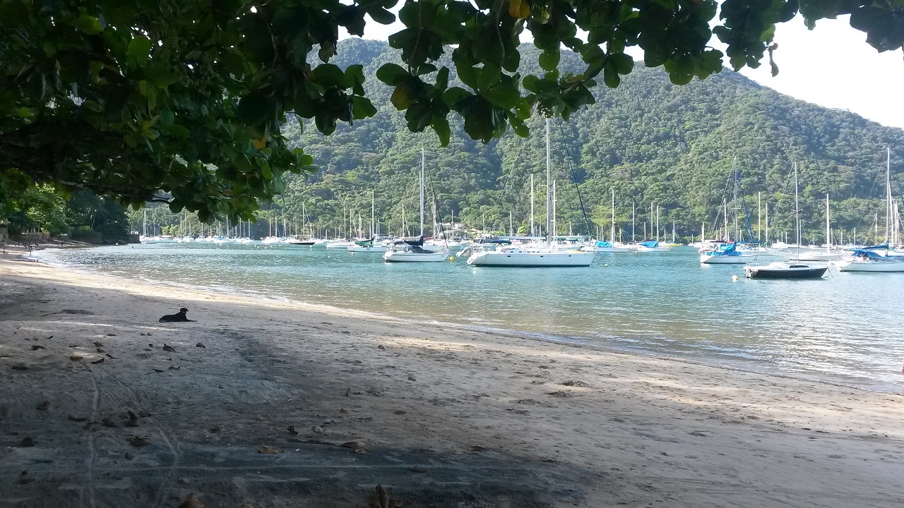 As embarcações estão sempre presentes na Praia da Ribeira