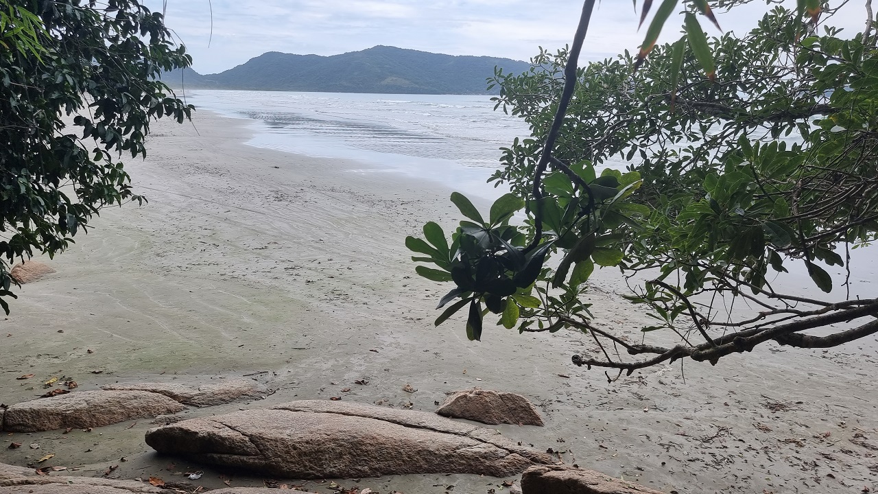 Canto direito da Praia da Fazenda - Início da trilha para Praia da Taquara