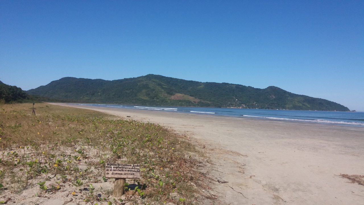 Praia da Fazenda