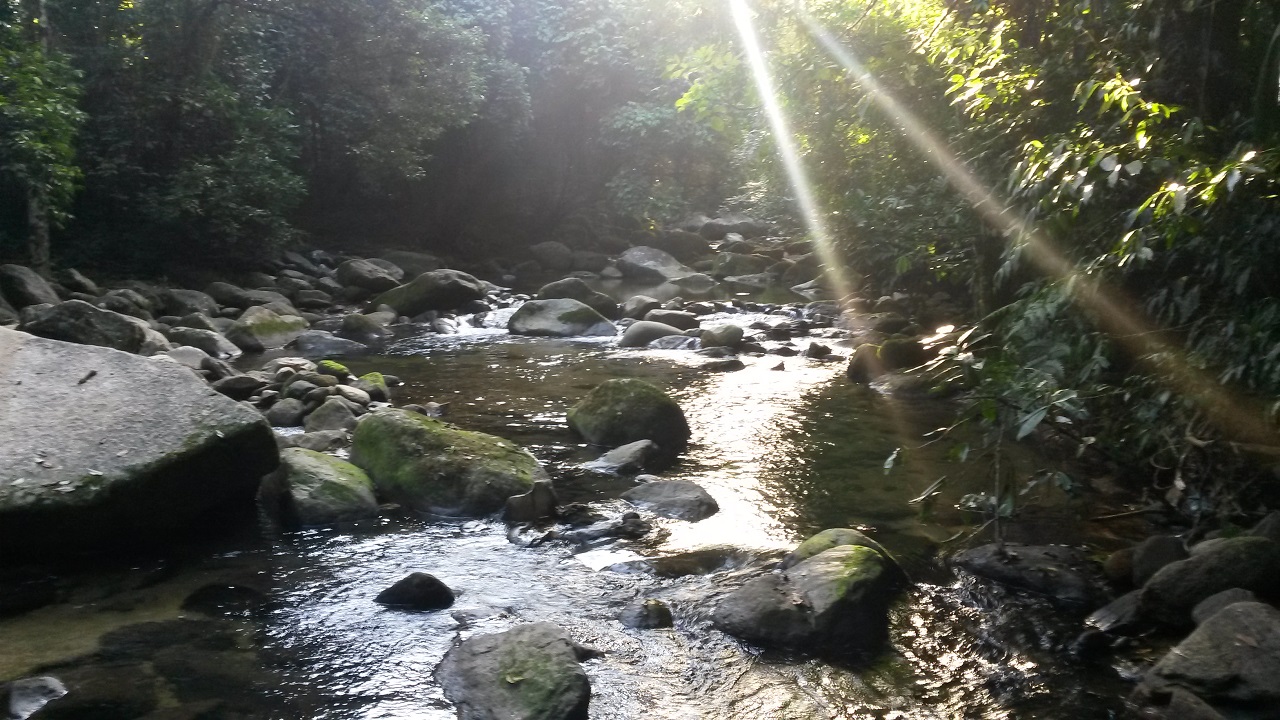 Cachoeira dos Macacos