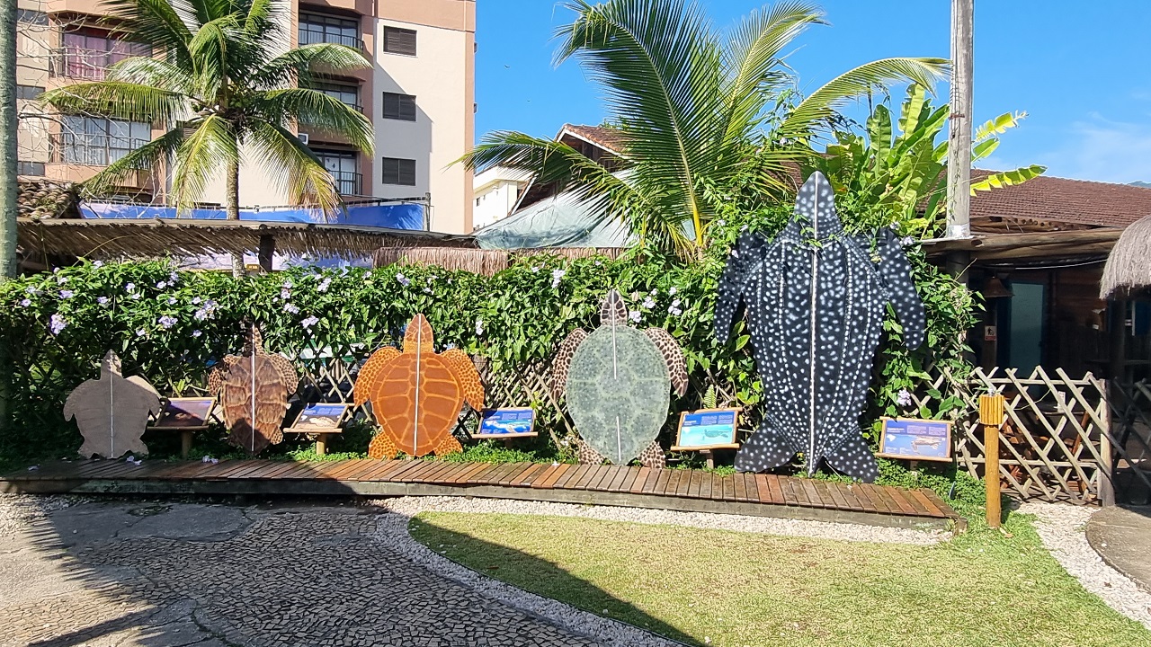 Vai chover...o quê fazer em Ubatuba - Projeto TAMAR