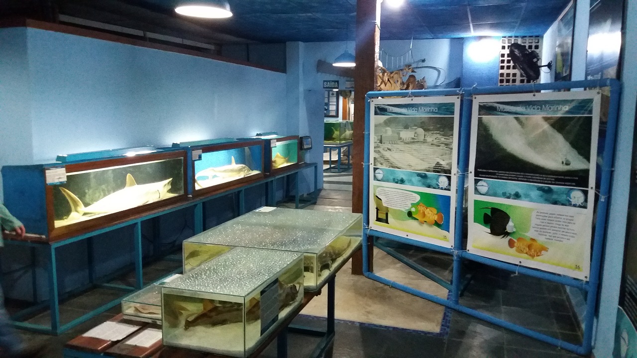 Aquário de Ubatuba - Museu da Vida Marinha