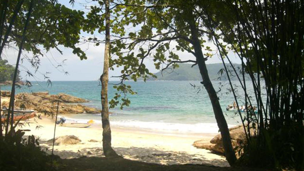 Praia do Cedro do Sul