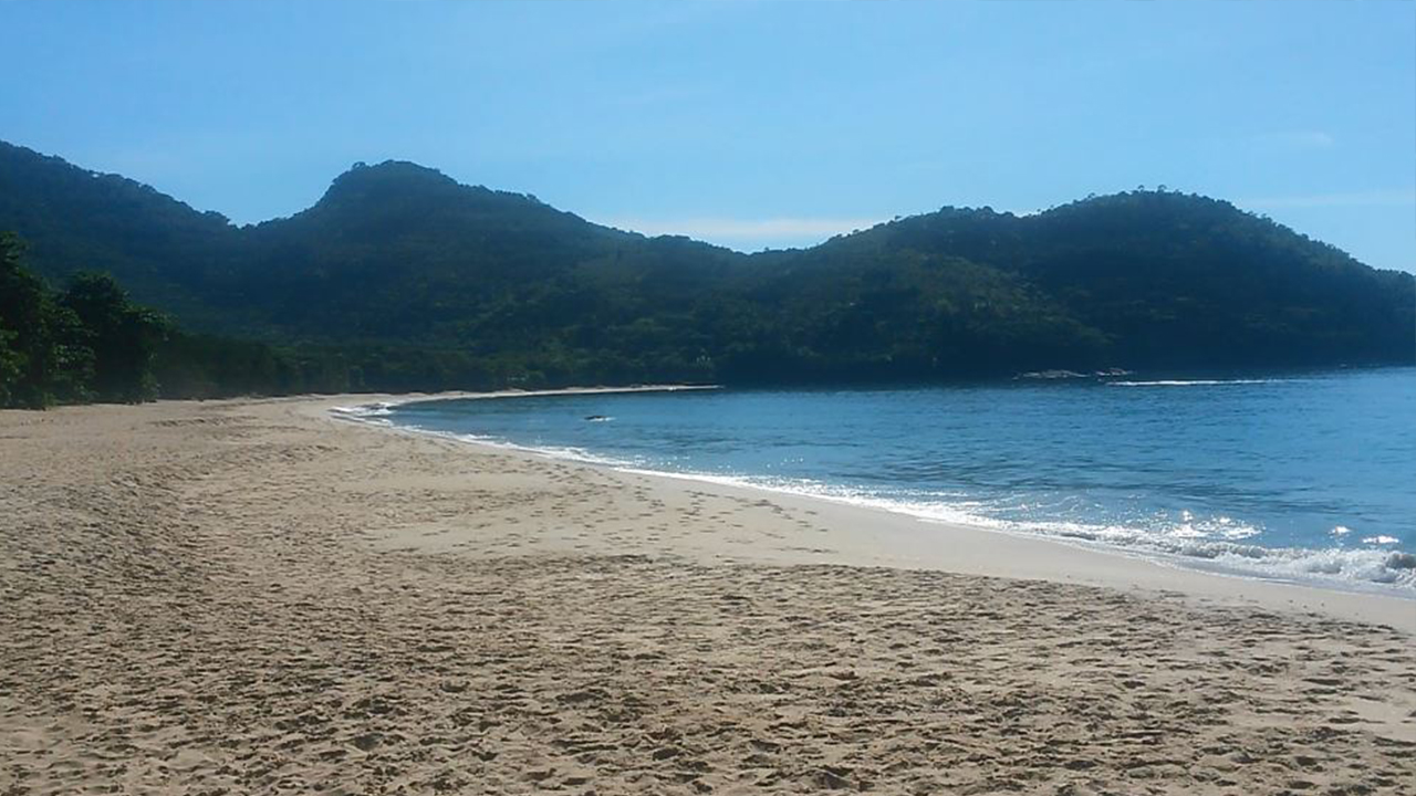 Praia Grande do Bonete - Ubatuba