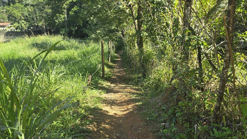 A Trilha para a Cachoeira 2