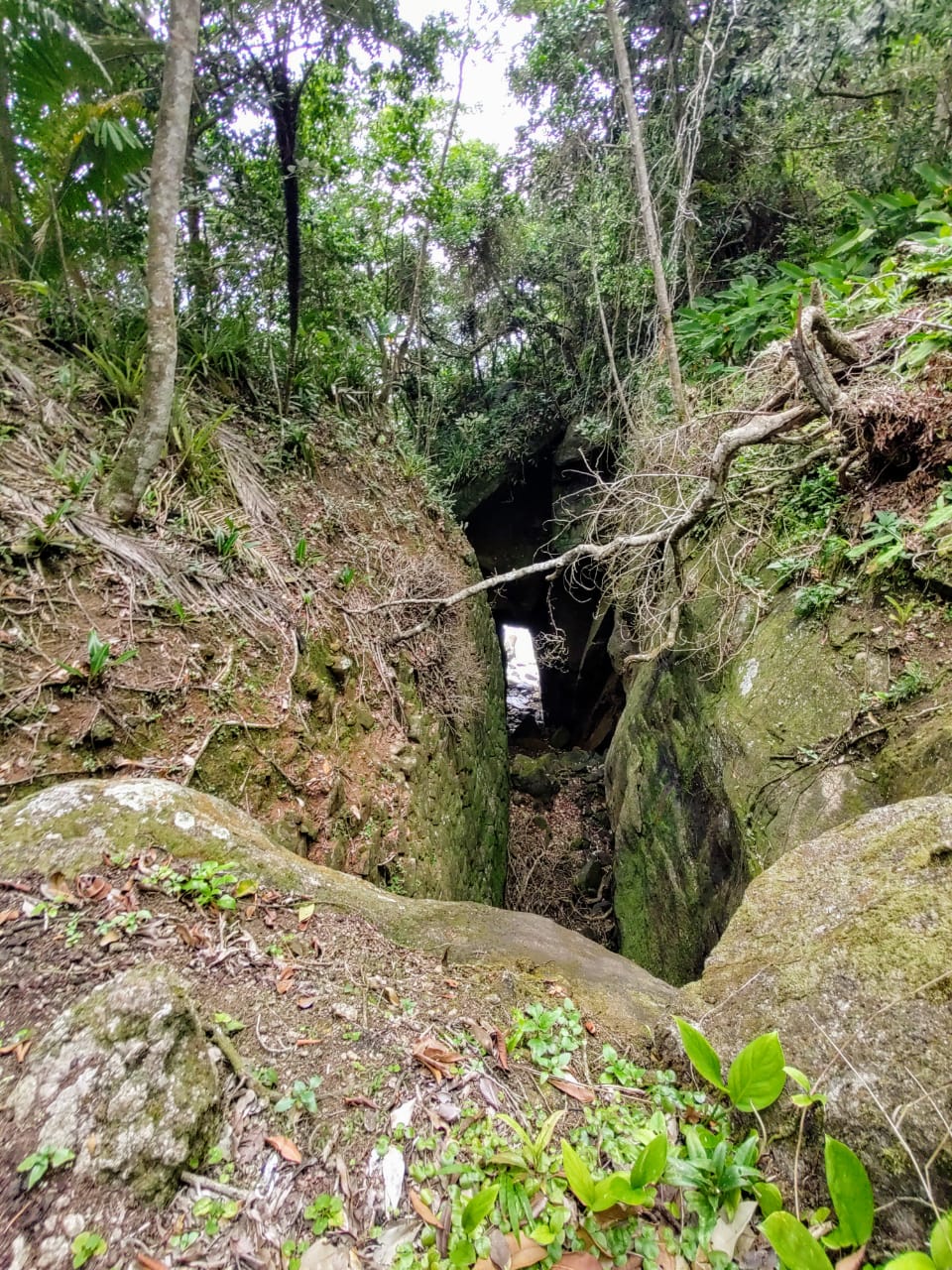 Gruta das Andorinhas