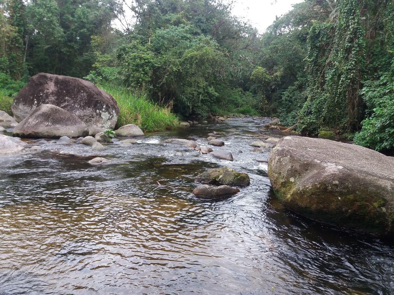 Ponte sobre um riacho após a escola do Ubatumirim no caminho para as cachoeiras