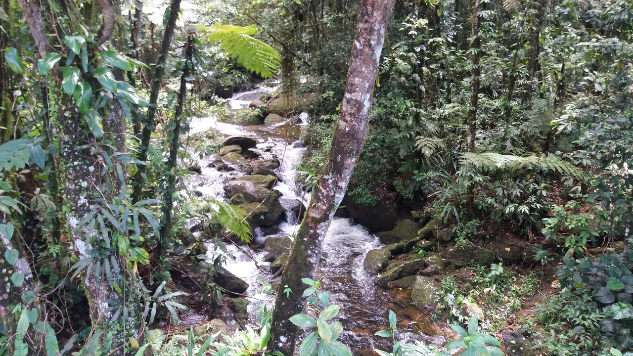 A breve trilha até o Poço do Amor revela uma paisagem incrível