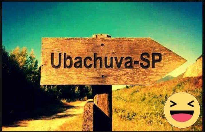 Ubachuva - Imagem extraída de https://www.facebook.com/ubachuvas/about