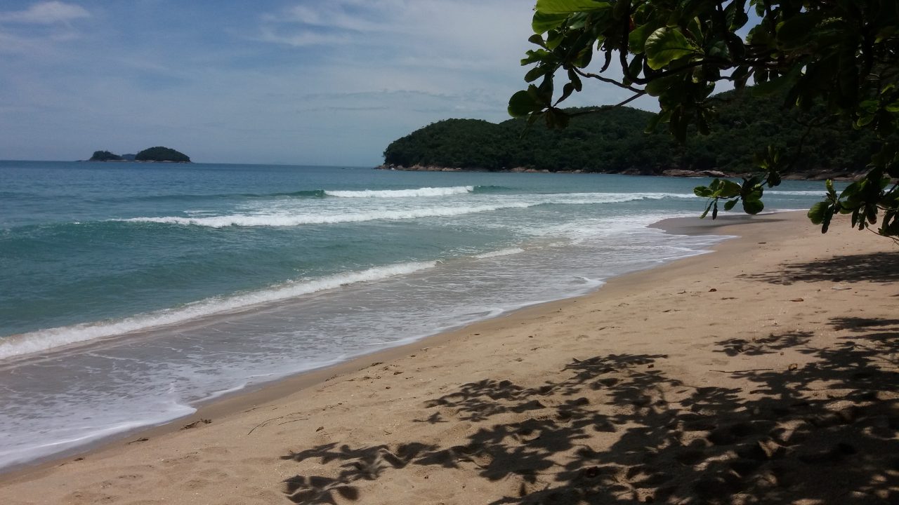 Praia Brava da Almada - Natureza preservada em seu entorno