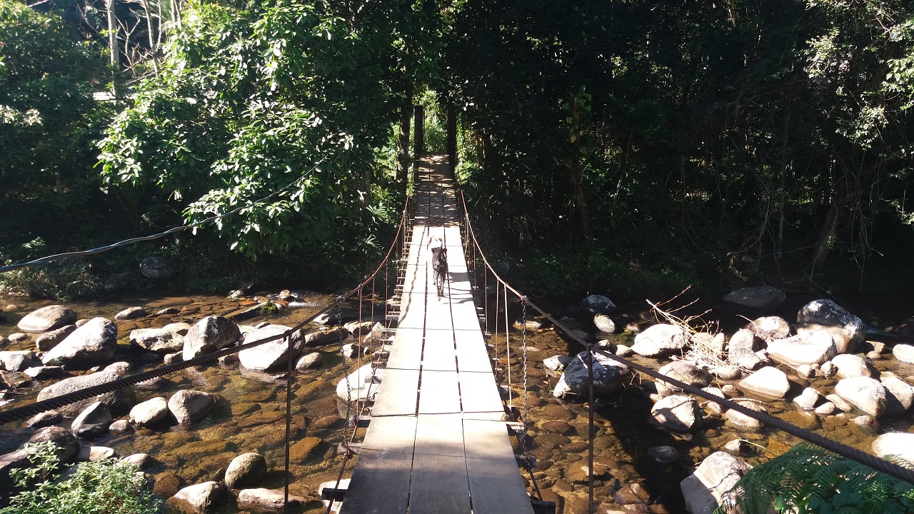 Ponte no caminho da Comunidade Quilombola do Camburi
