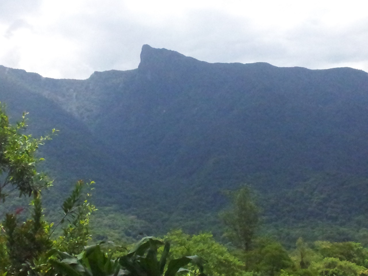 Você sabia que o Pico do Corcovado não é a maior montanha de Ubatuba?