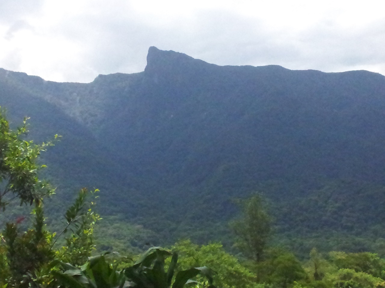 Pico do Corcovado