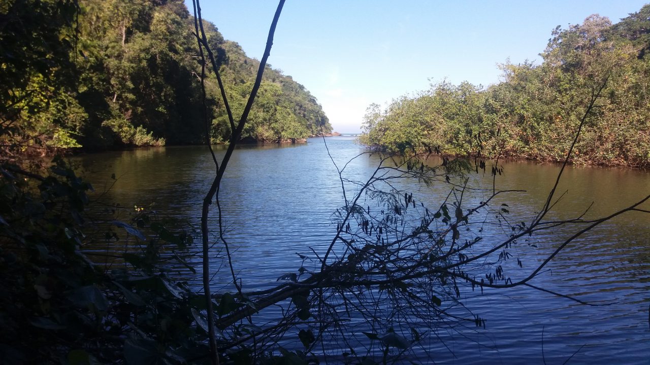 Rio Quiririm na Trilha Praia da Justa - Praia da Puruba