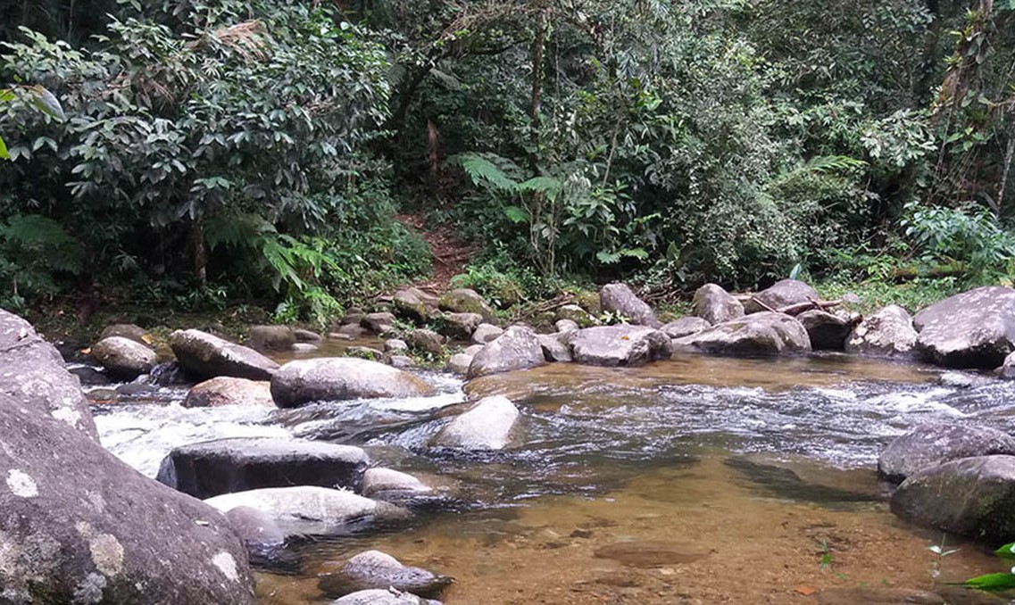 Início da Trilha para o Poço Verde