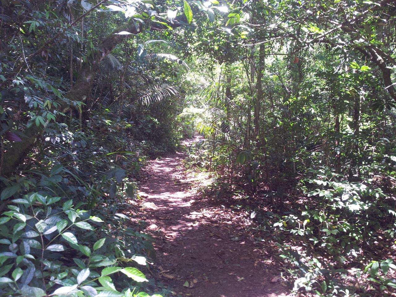 Trilha para o Poço Verde