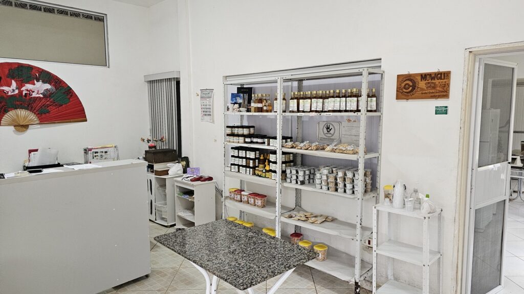 Gengibre de Ubatuba e seus produtos