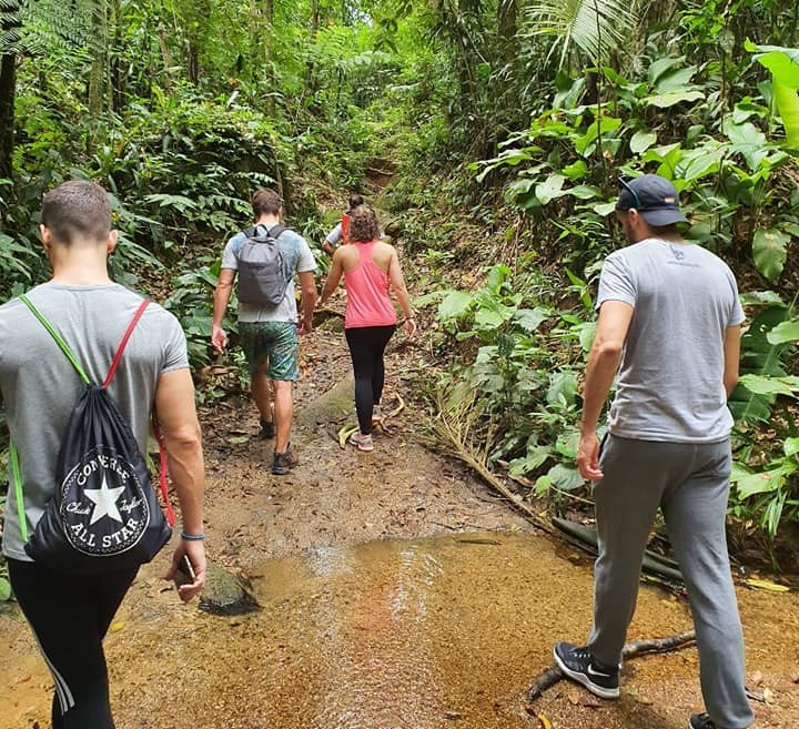 Mar & Trilha Ecoturismo - Atividades em meio a Mata Atlântica