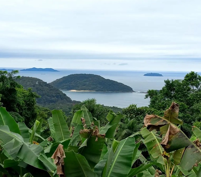 Caminhos das Trilhas