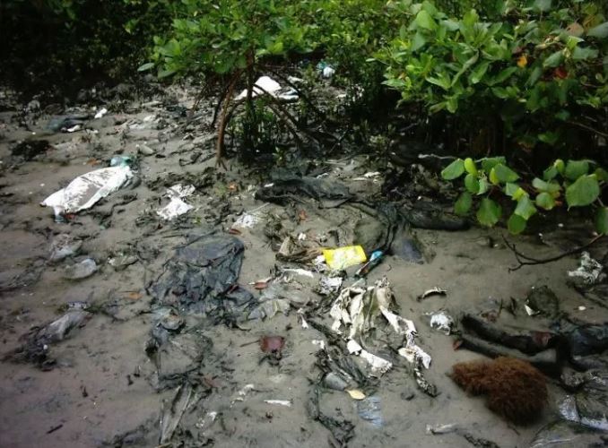 Lixo oceânico - Imagem extraída de:www.portacabo.com.br