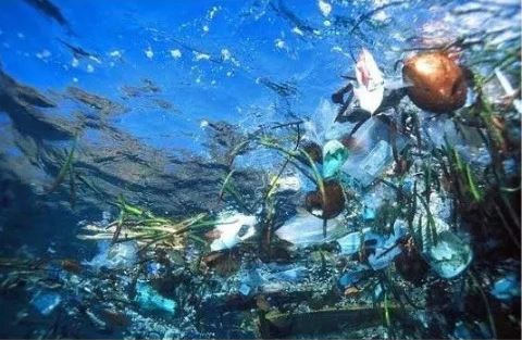 Lixo oceânico - Imagem extraída de: www.coletivoverde.com.br