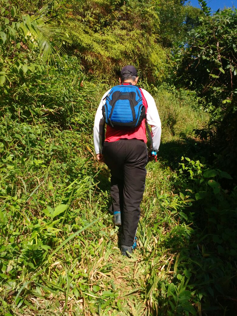 Percorrer trilhas sempre com roupa apropriada