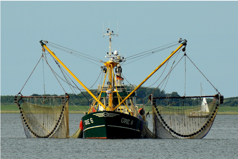 A pesca industrial é praticada com o auxílio de grandes embarcações, vários pescadores profissionais e equipamentos de última geração. Fonte: Detmold
