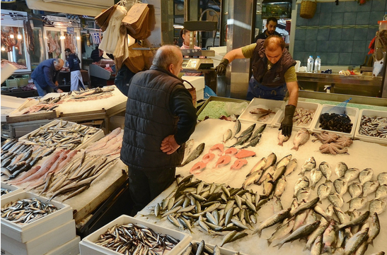 Se houver conscientização da indústria pesqueira e da população consumidora, é possível manter um equilíbrio para que as atividades não afetem em grande escala os ecossistemas marinhos. Fonte: Skitterphoto/Pexels (Domínio Público)