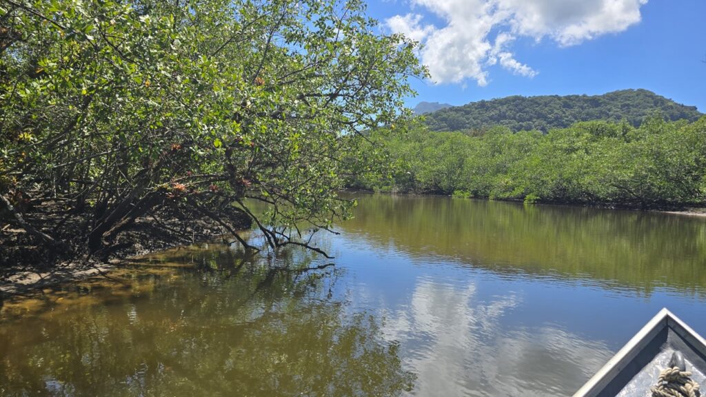 Trilha Fluvial no rio da Fazenda