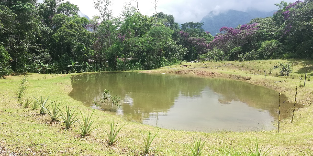 Lago dentro da Aldeia Renascer 