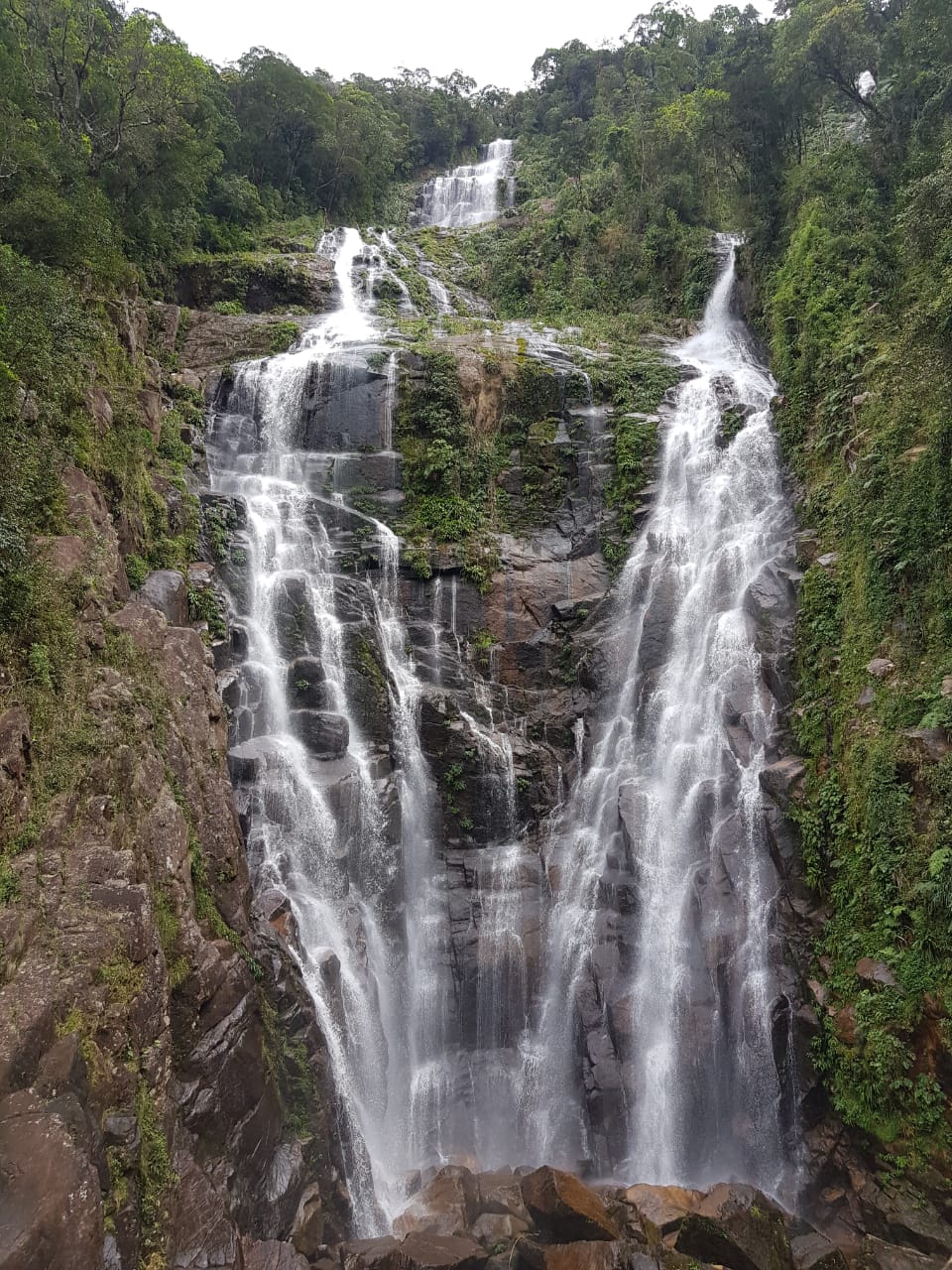 Cachoeira da Agua Branca -  Imagem de @alexaraujo30 