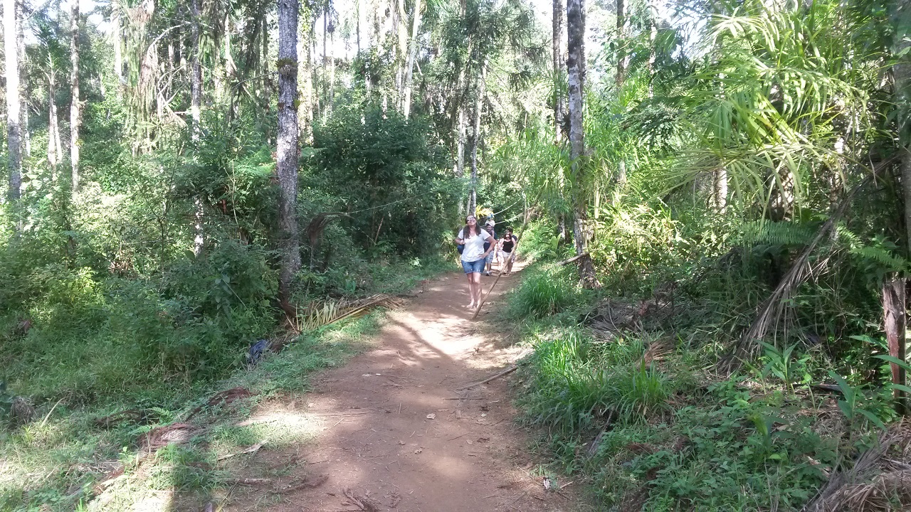 Trilha para a Aldeia Boa Vista