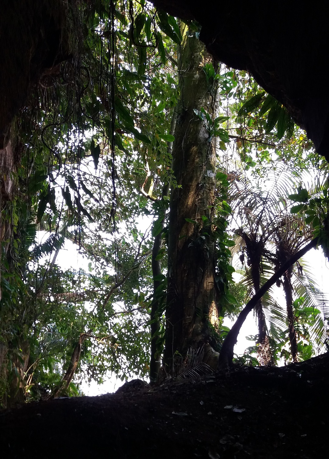 Gruta na Praia da Sununga ao lado da Gruta que chora