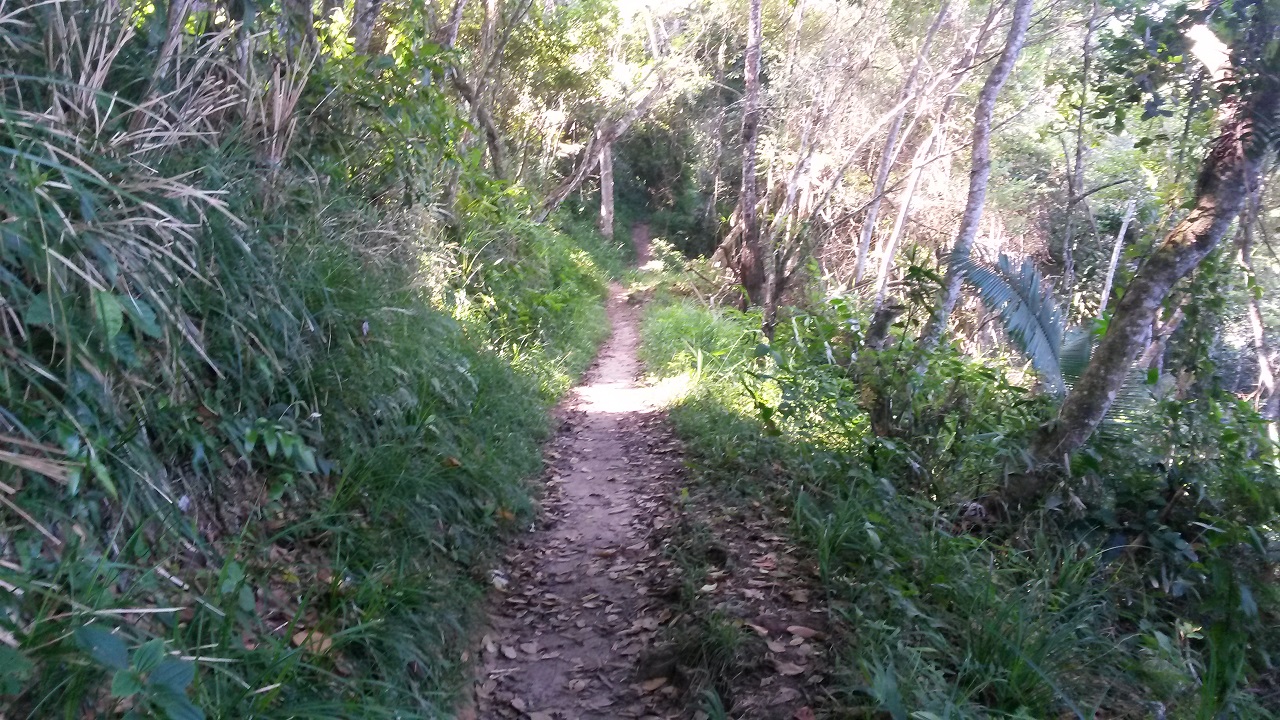 Trilha para a Praia do Pulso