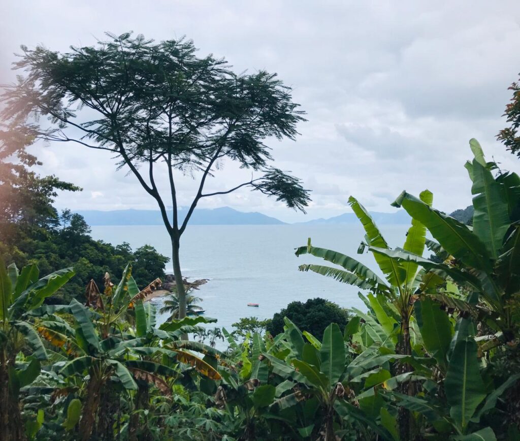 Trilha entre Praia do Simão e Praia do Saco das Bananas