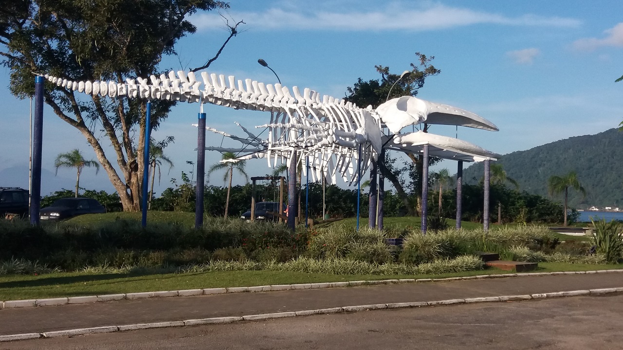 Esqueleto da jubarte na Praça da Baleia