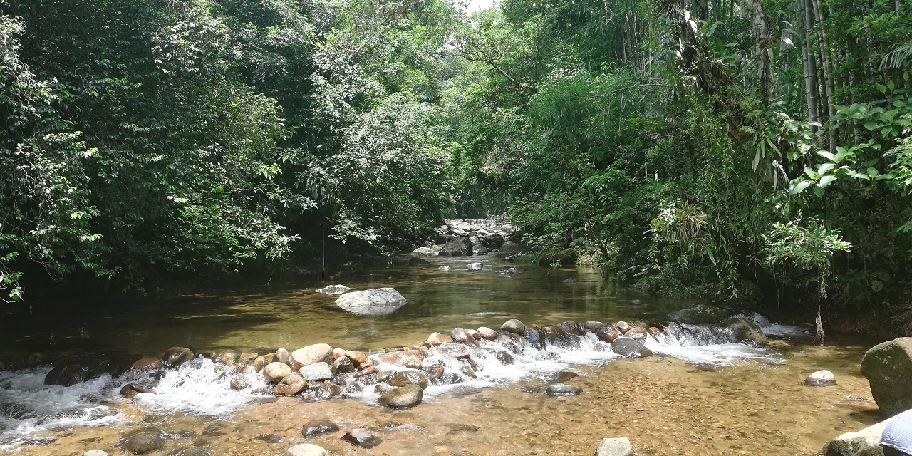 Aldeia Renascer e o Meio Ambiente preservado