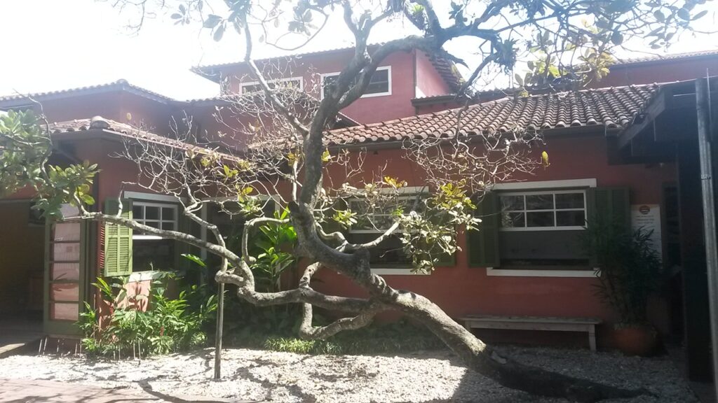 Lembrança do Passado - Cajueiro na Frente do Tachão