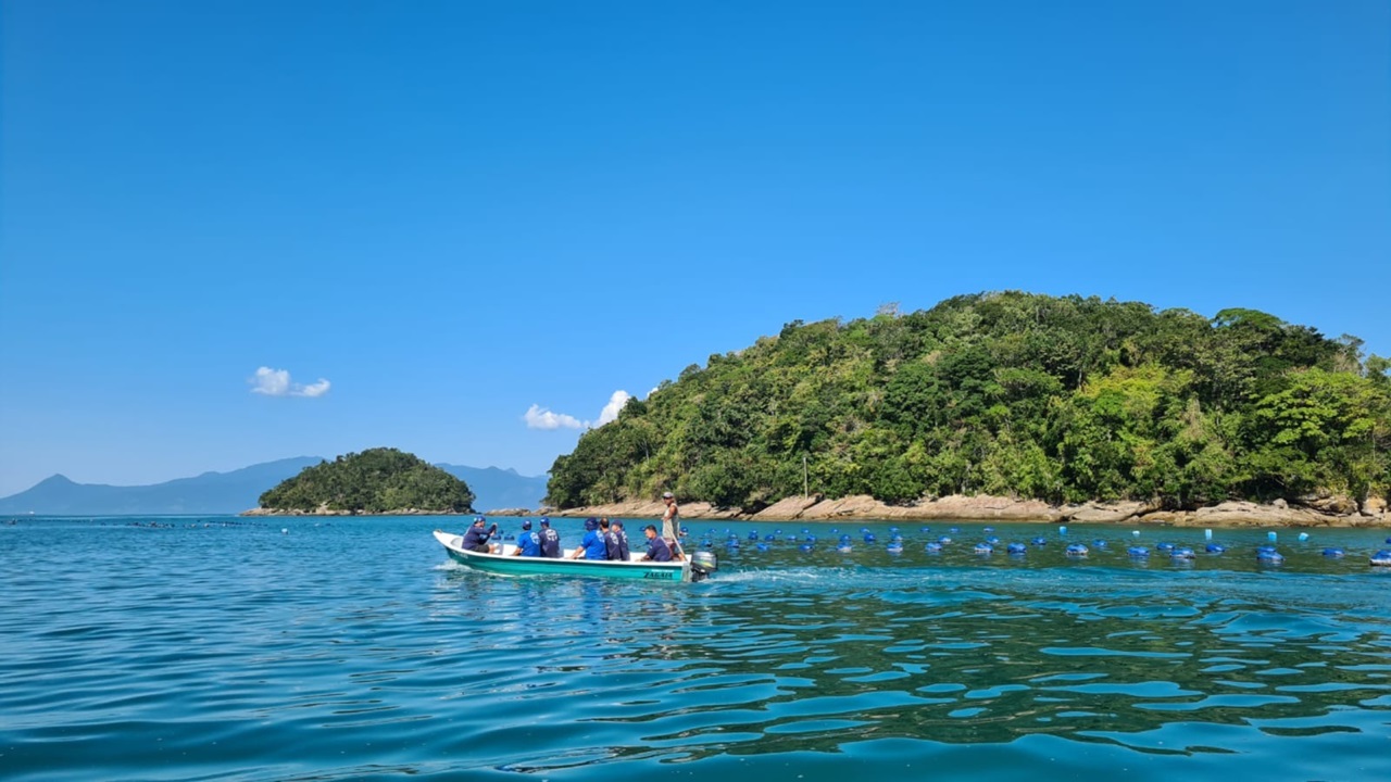 Maricultura na rota turística dos municípios do litoral norte paulista