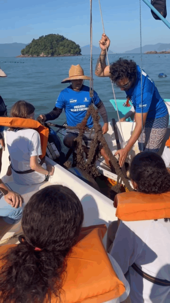 Projeto Mar é Cultura