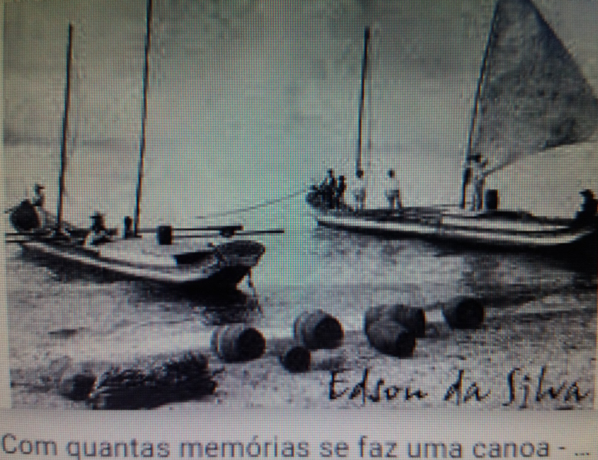 História da Canoa de Voga e da “Cavalo Grande”