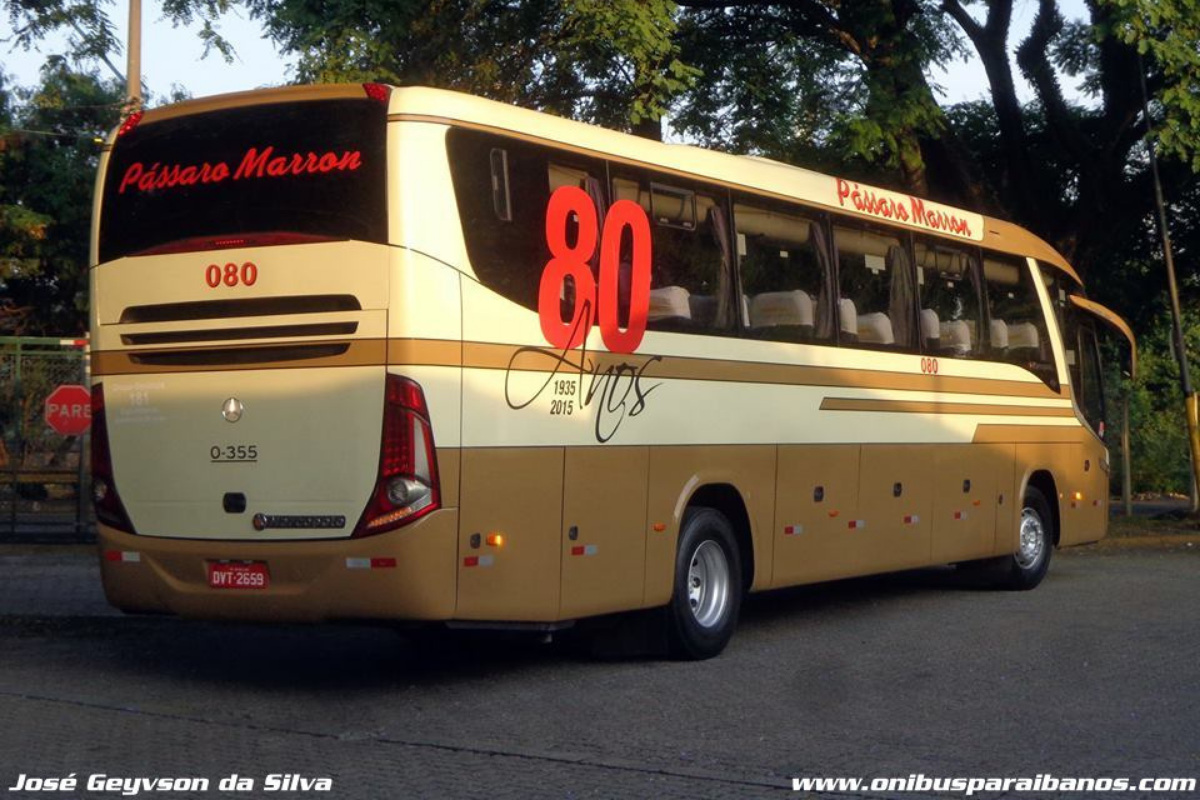  Pássaro Marron