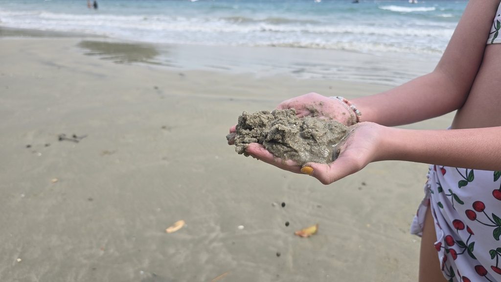Areia Monazítica em praia de Ubatuha