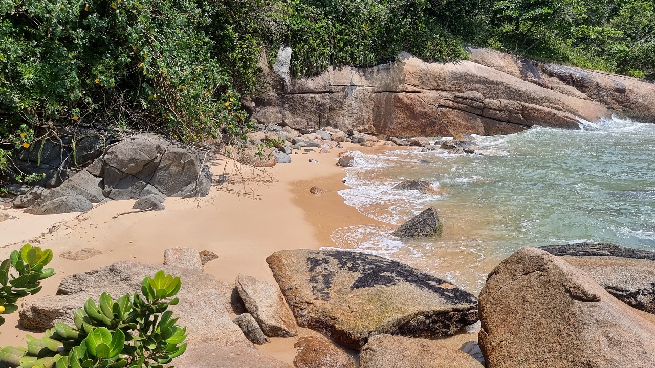 Praia de Itapecerica - acesso terrestre por trilha