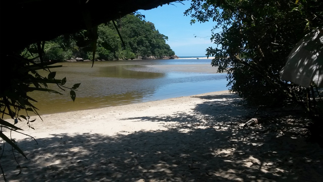 Praia da Puruba