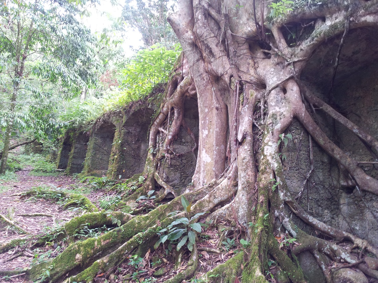 Ruinas da Lagoinha