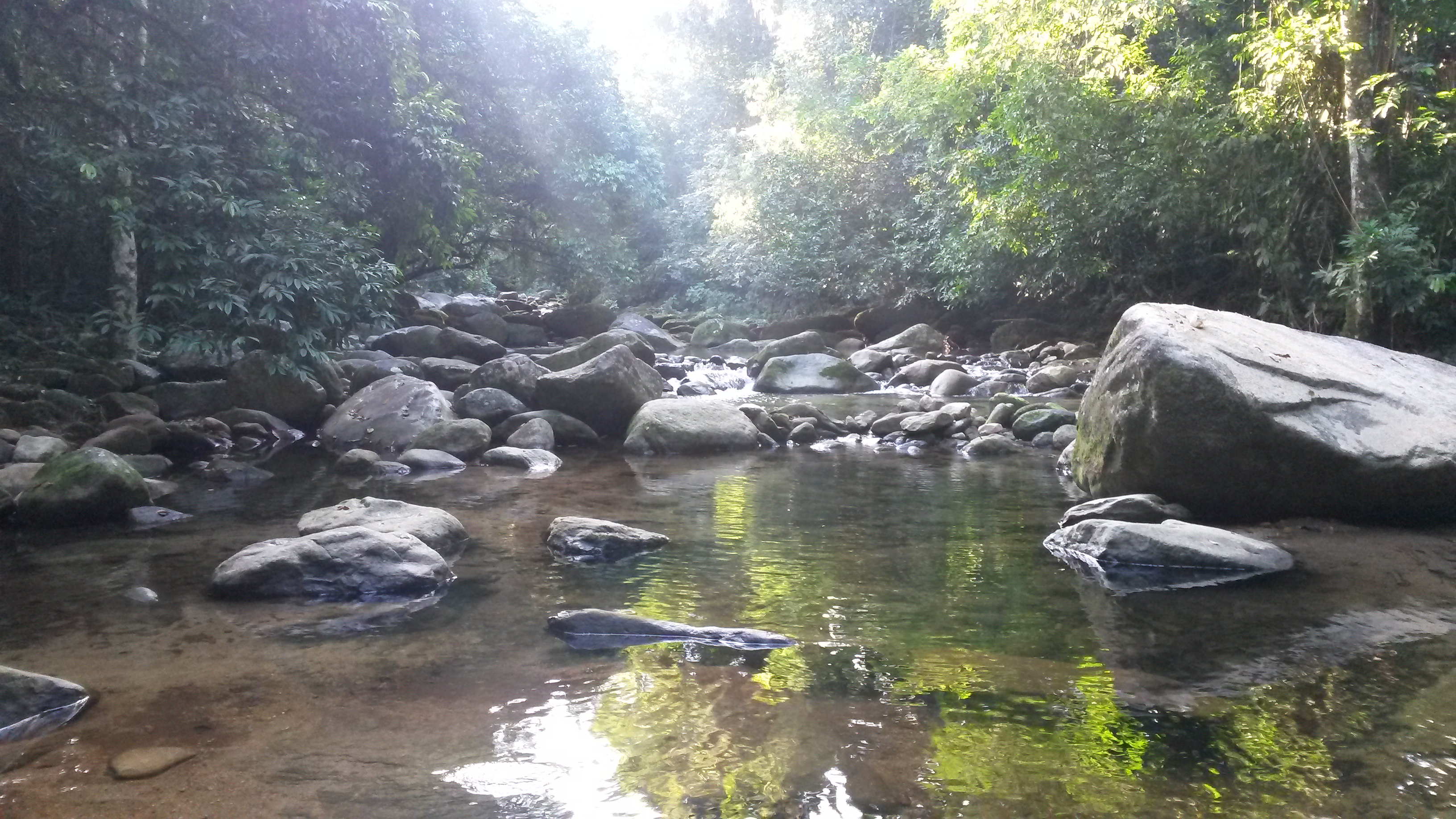 Cachoeira dos Macacos