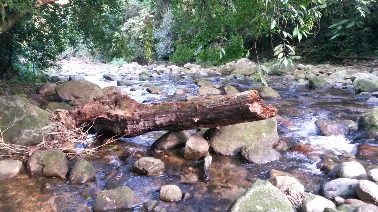 Cachoeira dos Macacos - Ubatuba